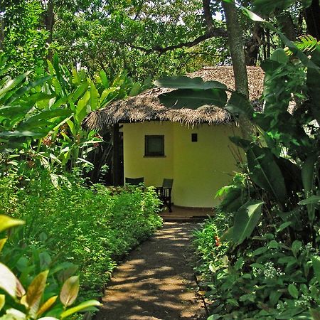 Moivaro Coffee Lodge Arusha Eksteriør bilde