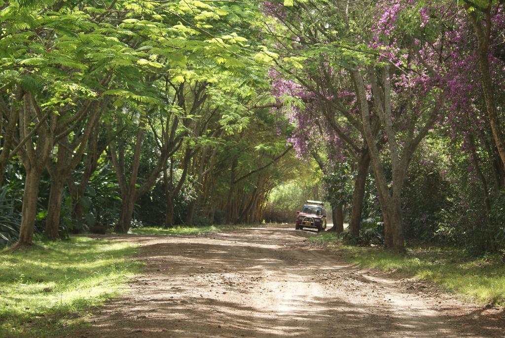 Moivaro Coffee Lodge Arusha Eksteriør bilde