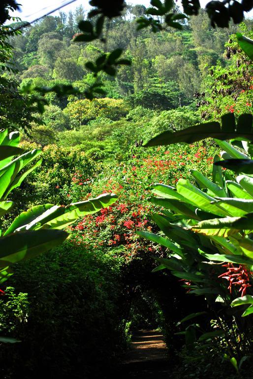 Moivaro Coffee Lodge Arusha Eksteriør bilde