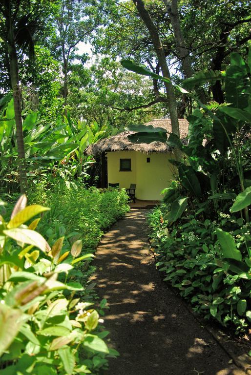 Moivaro Coffee Lodge Arusha Rom bilde