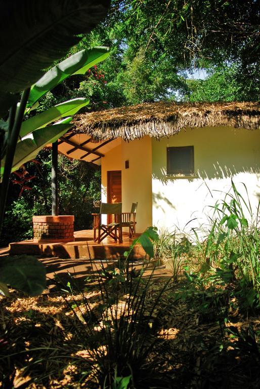 Moivaro Coffee Lodge Arusha Rom bilde